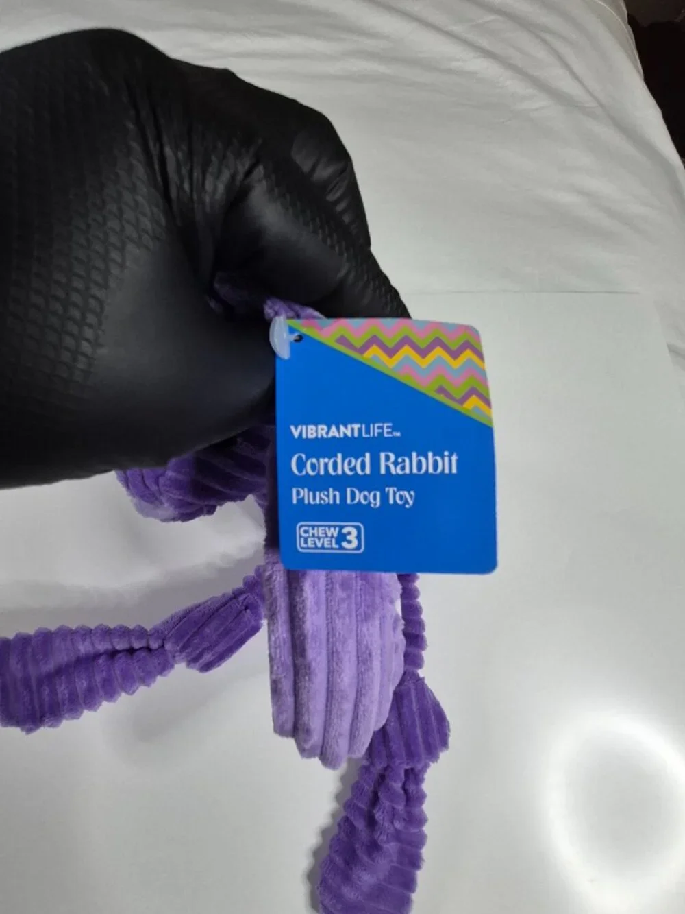 Vibrant Life Ribbed Easter Bunny Dog Toy, Purple, 15